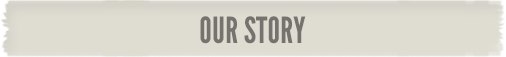 The Story